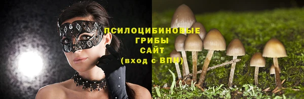 PSILOCYBIN Приозерск