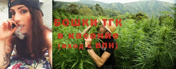 PSILOCYBIN Протвино
