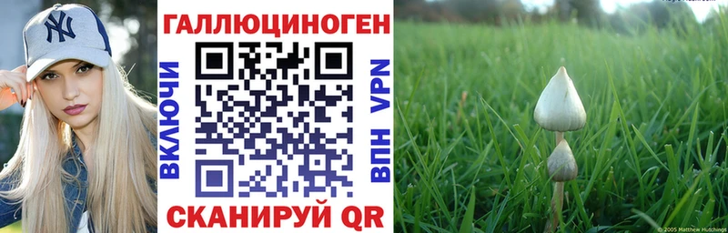Псилоцибиновые грибы Magic Shrooms  kraken tor  Рудня 
